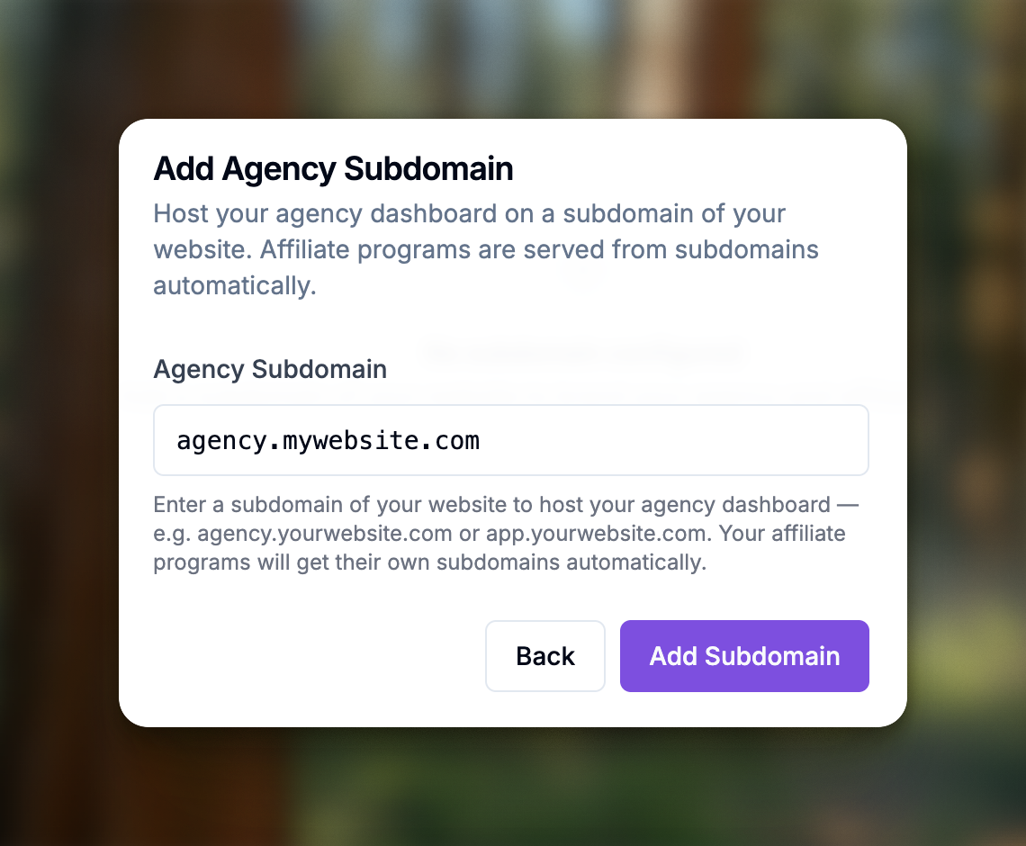 agency-cname-setup